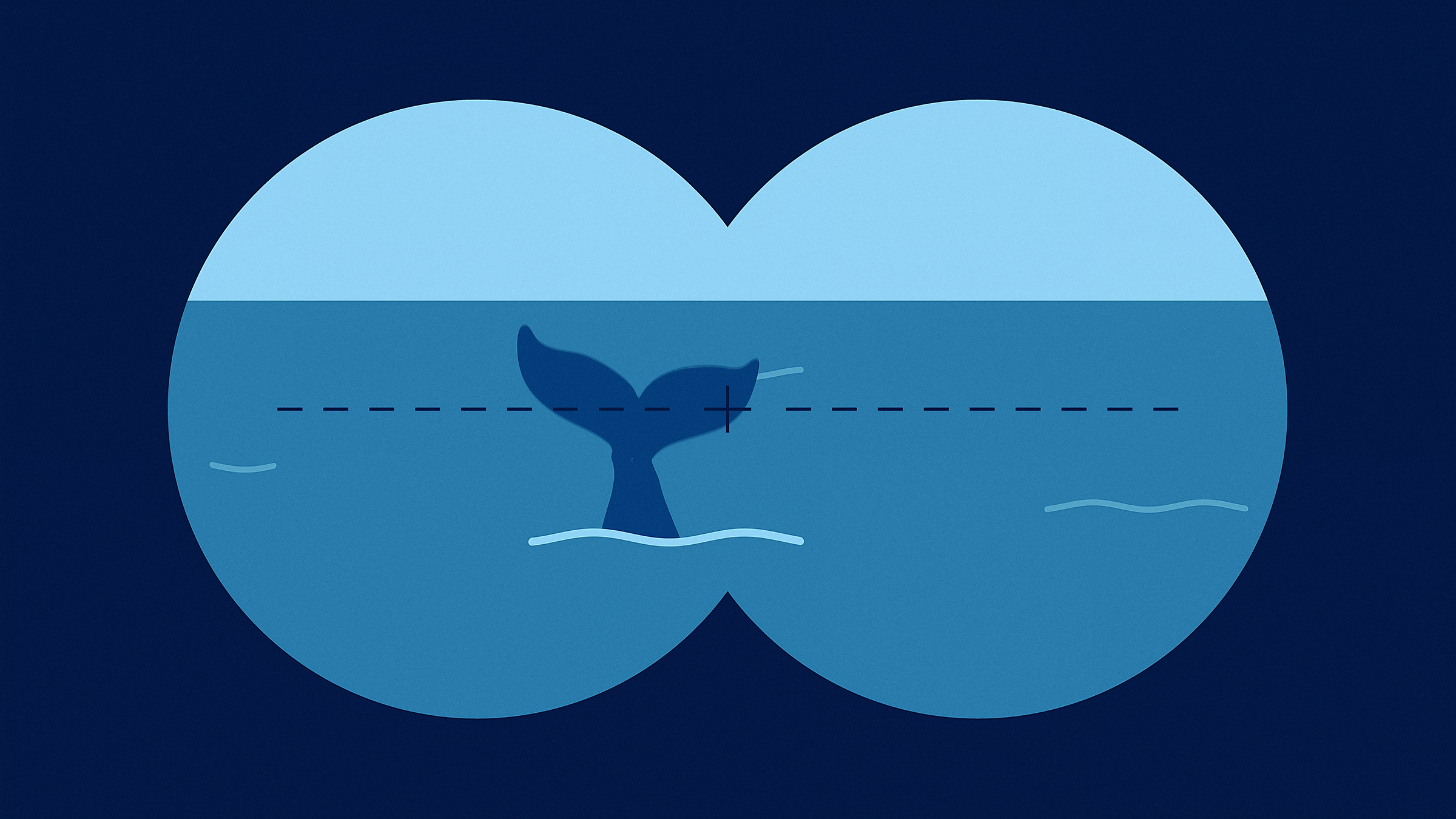 Marine_Seismic_Surveys_5