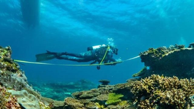 ningaloo image