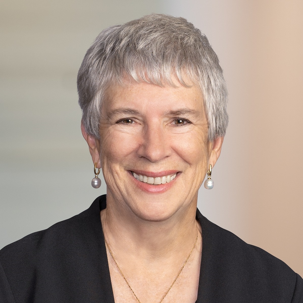 Woodside Energy board member Ann Pickard